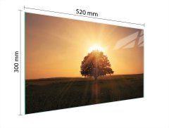 TMK STAKLENA DASKA ZA REZANJE 52x30 DRVO