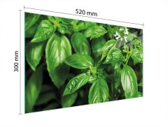 TMK STAKLENA DASKA ZA REZANJE 52x30 BOSILJAK