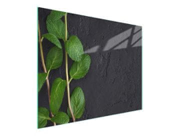 TMK STAKLENA DASKA ZA REZANJE 52x30 MENTA