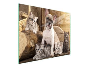 TMK STAKLENA DASKA ZA REZANJE 52x30 DOG