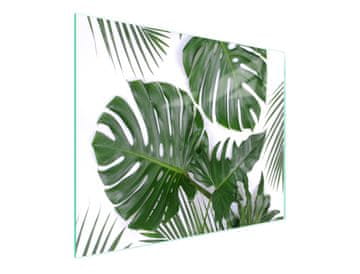 TMK STAKLENA DASKA ZA REZANJE 52x30 MONSTERA