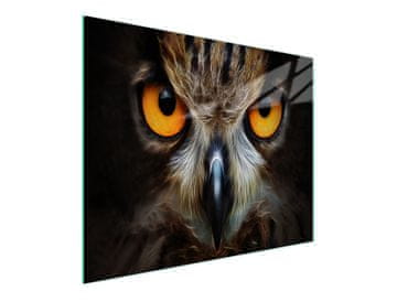 TMK STAKLENA DASKA ZA REZANJE 52x30 OWL