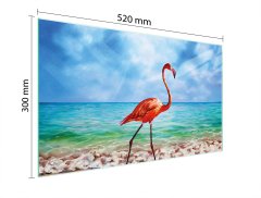 TMK STAKLENA DASKA ZA REZANJE 52x30 FLAMINGO