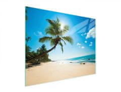 TMK STAKLENA DASKA ZA REZANJE 52x40 BEACH