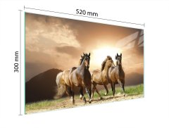 TMK STAKLENA DASKA ZA REZANJE 52x30 KONJI