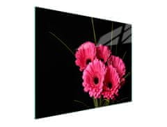 TMK STAKLENA DASKA ZA REZANJE 52x30 GERBERA