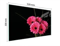 TMK STAKLENA DASKA ZA REZANJE 52x30 GERBERA
