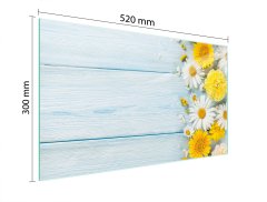 TMK STAKLENA DASKA ZA REZANJE 52x30 KAMILICA