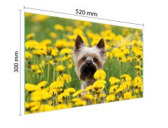 TMK STAKLENA DASKA ZA REZANJE 52x30 DOG
