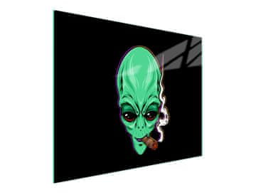 TMK STAKLENA DASKA ZA REZANJE 52x30 UFO
