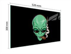 TMK STAKLENA DASKA ZA REZANJE 52x30 UFO