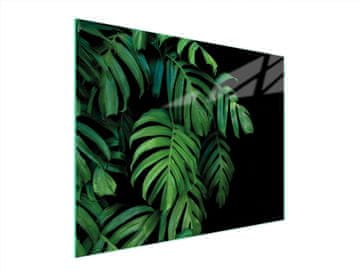 TMK STAKLENA DASKA ZA REZANJE 52x40 MONSTERA