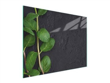TMK STAKLENA DASKA ZA REZANJE 52x40 MENTA