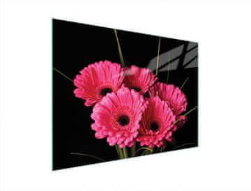 TMK STAKLENA DASKA ZA REZANJE 40x30 GERBERA