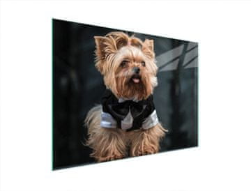 TMK STAKLENA DASKA ZA REZANJE 40x30 DOG