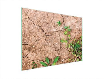 TMK STAKLENA DASKA ZA REZANJE 40x30 BILJKE