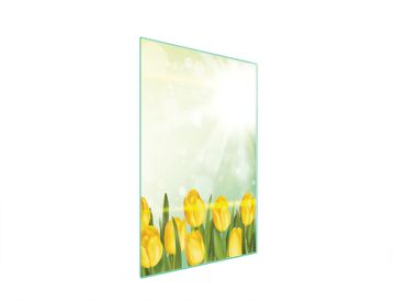 TMK STAKLENA DASKA ZA REZANJE 35x52 TULIPANA