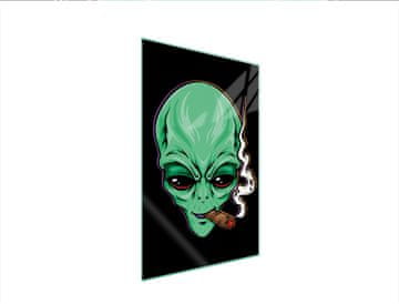 TMK STAKLENA DASKA ZA REZANJE 35x52 UFO