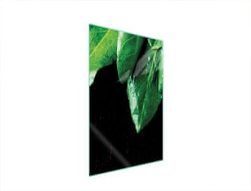 TMK STAKLENA DASKA ZA REZANJE 35x52 BOSILJAK