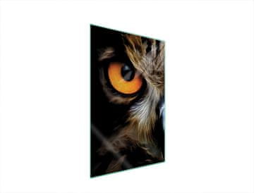 TMK STAKLENA DASKA ZA REZANJE 35x52 OWL