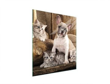 TMK STAKLENA DASKA ZA REZANJE 45x52 PAS