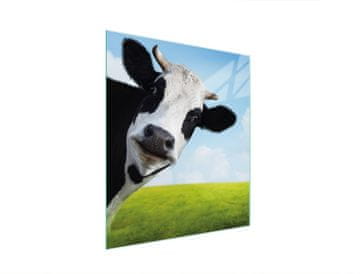 TMK STAKLENA DASKA ZA REZANJE 45x52 KRAVICA