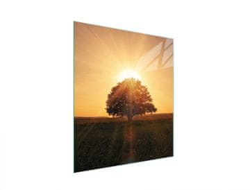 TMK STAKLENA DASKA ZA REZANJE 45x52 DRVO