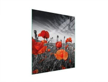 TMK STAKLENA DASKA ZA REZANJE 45x52 MAKI