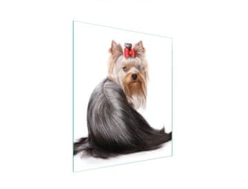 TMK STAKLENA DASKA ZA REZANJE 45x52 PAS