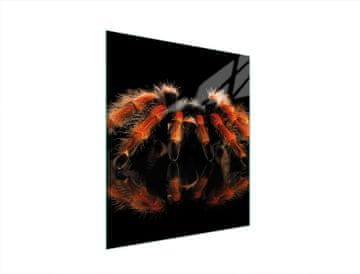 TMK STAKLENA DASKA ZA REZANJE 45x52 SPIDER