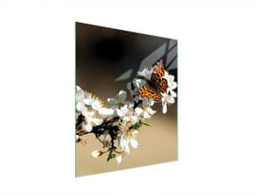 TMK STAKLENA DASKA ZA REZANJE 45x52 ŠLJIVA