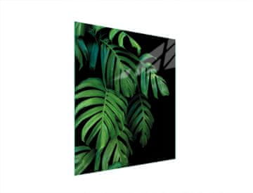 TMK STAKLENA DASKA ZA REZANJE 45x52 MONSTERA