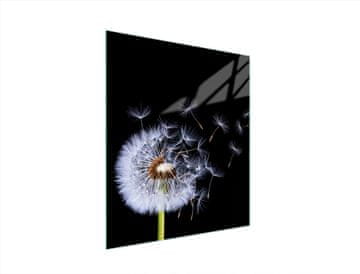 TMK STAKLENA DASKA ZA REZANJE 45x52 CVIJET