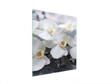 TMK STAKLENA DASKA ZA REZANJE 45x52 ORHIDEJA