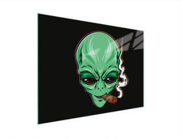 TMK STAKLENA DASKA ZA REZANJE 30x22 UFO
