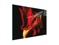 TMK STAKLENA DASKA ZA REZANJE 30x22 PIJETAO