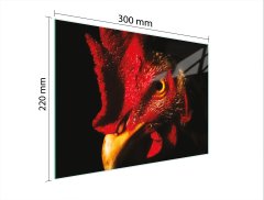 TMK STAKLENA DASKA ZA REZANJE 30x22 PIJETAO