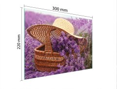 TMK STAKLENA DASKA ZA REZANJE 30x22 LAVANDA