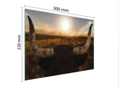 TMK STAKLENA DASKA ZA REZANJE 30x22 SUN