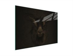 TMK STAKLENA DASKA ZA REZANJE 30x22 KOZA