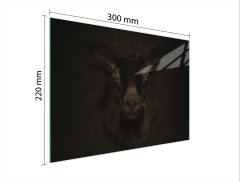 TMK STAKLENA DASKA ZA REZANJE 30x22 KOZA