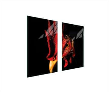 TMK ZAŠTITNA PLOČA OD STAKLA ZA ŠTEDNJAK 75x52 ROOSTER