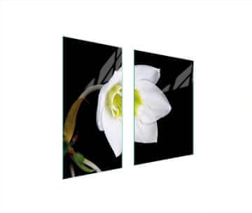 TMK ZAŠTITNA PLOČA ZA STAKLO 75x52 ORHIDEJA