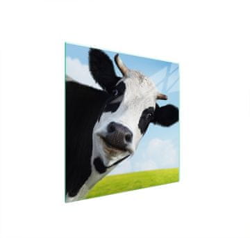 TMK ZAŠTITNA PLOČA OD STAKLA ZA ŠTEDNJAK 50x52 COW