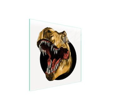 TMK ZAŠTITNA PLOČA OD STAKLA ZA ŠTEDNJAK 50x52 DINOSAUR