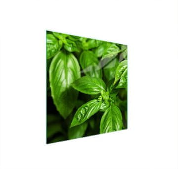 TMK ZAŠTITNA PLOČA OD STAKLA ZA ŠTEDNJAK 50x52 BASIL