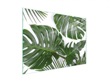 TMK STAKLENA DASKA ZA REZANJE 30x22 MONSTERA
