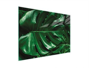 TMK STAKLENA DASKA ZA REZANJE 30x22 MONSTERA