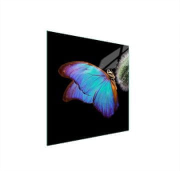 TMK ZAŠTITNA PLOČA OD STAKLA ZA ŠTEDNJAK 50x52 BUTTERFLY