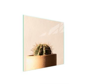TMK ZAŠTITNA PLOČA OD STAKLENA ZA ŠTEDNJAK 50x52 CACTUS